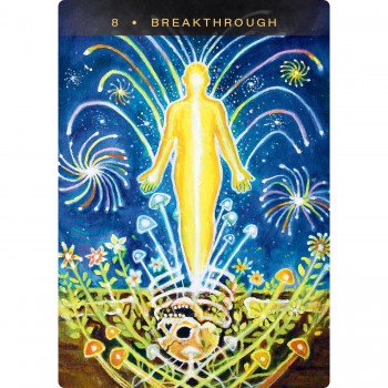 Sacred Mushroom Oracle kortos Hay House